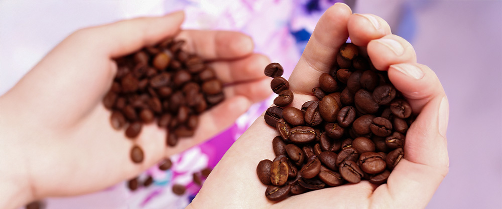 Kawa arabica czy robusta – co wybrać?