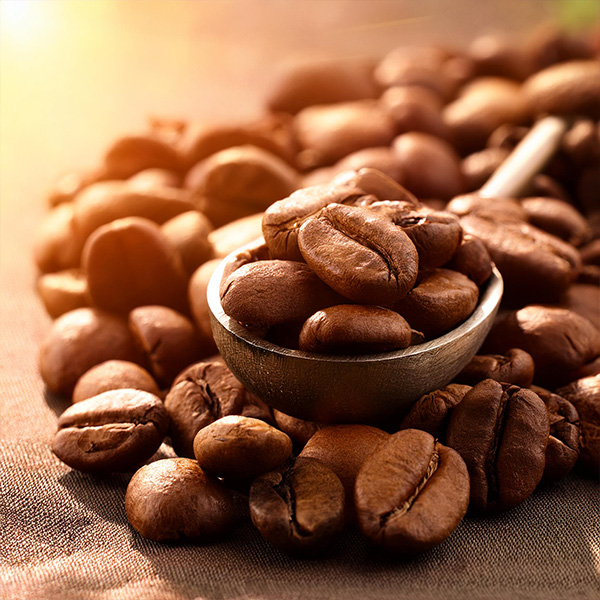 Czym różni się kawa arabica od robusta?