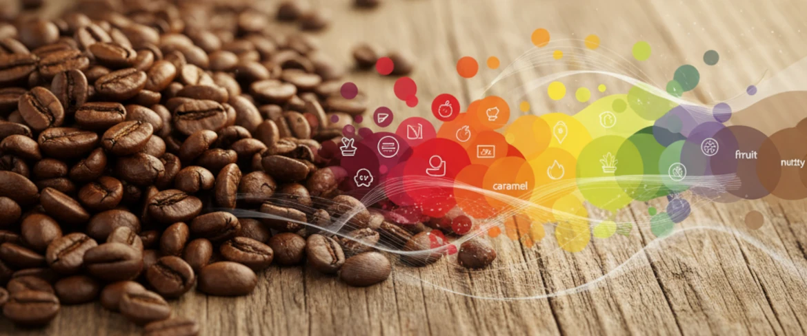 Coffee acidity and body – flavour profile, freshness and structural fullness in speciality coffee