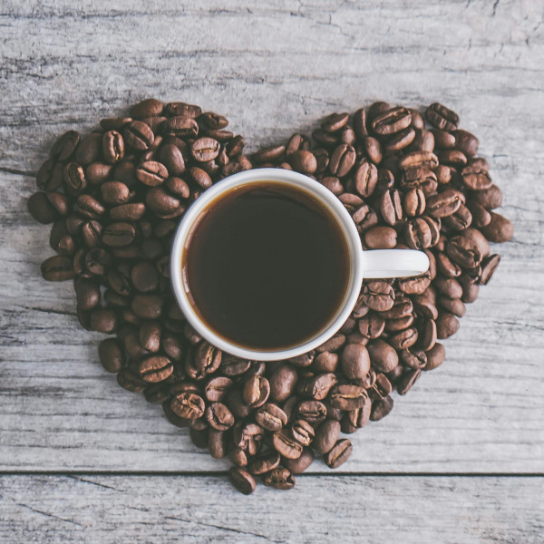 Eine Reise zur Quelle: Woher kommt unser Spezialitätenkaffee?