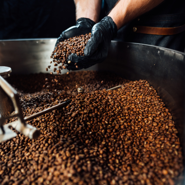 Frisch gerösteter Kaffee. Das Geheimnis des außergewöhnlichen Geschmacks in Ihrer Tasse