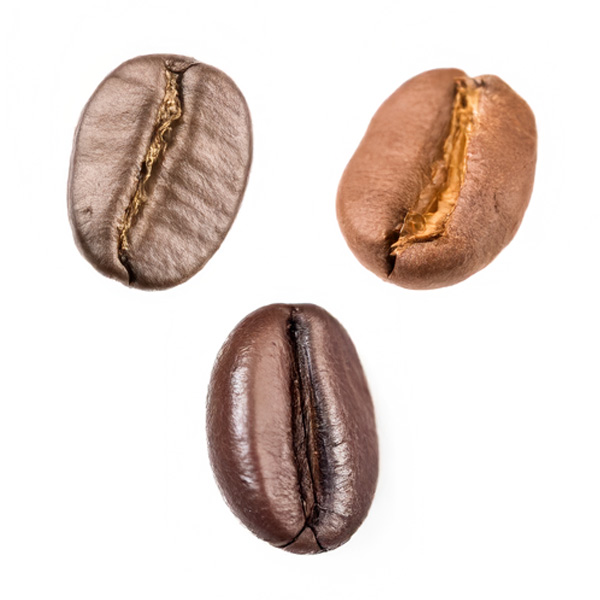Hell, mittel oder dunkel? Wie das Röstprofil den Geschmack und das Aroma von Speciality Coffee beeinflusst