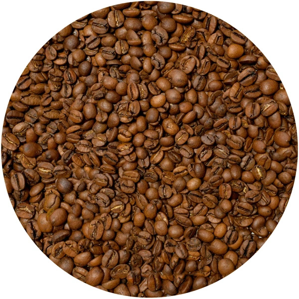 Bro Coffee Roastery – Bohnenkaffee Costa Rica San Rafael Speciality 1 kg
